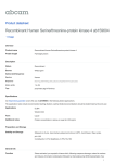 Recombinant Human Serine/threonine-protein kinase 4