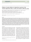 Effects of social defeat on dopamine neurons in the ventral
