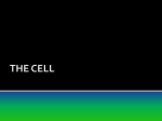 THE CELL