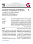 Vascular-targeted TNFα improves tumor blood vessel function and