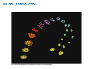 C. Mechanism: Natural Selection