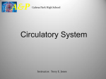 Circulatory System ppt Notes