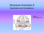 Structure-Function II
