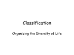 Classification - phsgirard.org