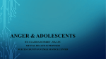 Aggression and Adolescents