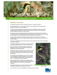 Vulnerable Victorians - Department of Environment, Land, Water