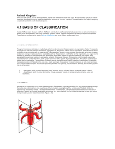 Animal classification