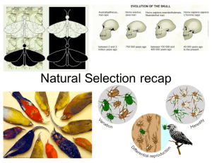 Natural Selection Intro