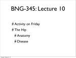 Activity on Friday The Hip Anatomy Disease