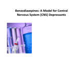 Benzodiazepines: A Model for Central Nervous System