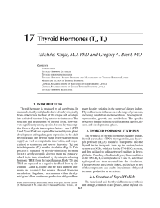 17 Thyroid Hormones (T4, T3)