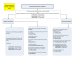 flow sheet