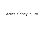 Acute Kidney Injury