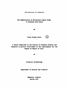 The Rmaniration of Hellenistlc Agora Forre in Southera Asia Minor