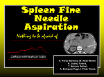 Spleen Fine Needle Aspiration