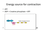 Energy source for contraction