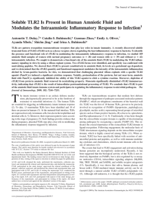 Soluble TLR2 Is Present in Human Amniotic Fluid and