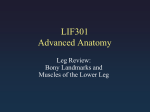 LIF101 Anatomy - Educator Pages