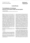 Invited Re vie W The distribution of cholinergic neurons in the