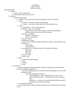 endocrine - mshsRebeccaMazoff