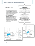 Joints of the Upper limb ( A complementary sheet )