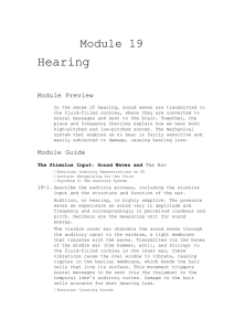 Module 19 Hearing Module Preview In the sense of hearing, sound