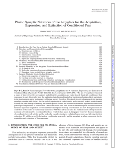 Plastic Synaptic Networks of the Amygdala for the Acquisition