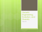 Genetic Engineering, Evolution, and Diversity
