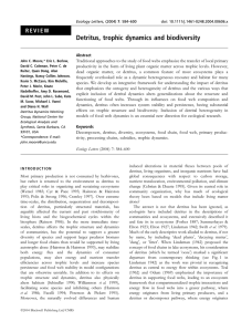 Detritus, trophic dynamics and biodiversity