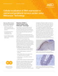 Cellular localization of RNA expression in central and peripheral