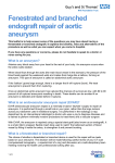 Fenestrated branched endograft repair