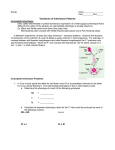 Variations of Inheritance Patterns