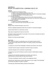 chapter 22 descent with modification: a darwinian view of life