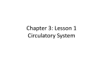 Lesson 1: Circulatory System