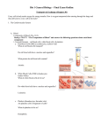 Final Exam Material Outline MS Word