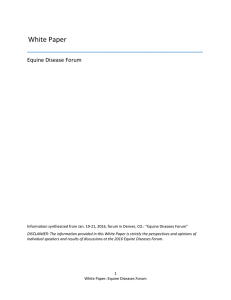 White Paper