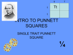 Punnett squares powerpoint