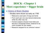 HOCK - Chapter 1 More experience = bigger brain Experiment