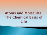 Chemistry of Life - juan-roldan