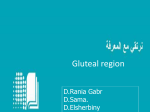Anatomy of the gluteal region