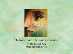 Behavioral Neuroscience