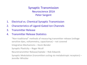 Synaptic Transmission 1
