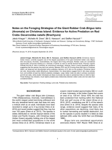 Notes on the Foraging Strategies of the Giant Robber Crab Birgus latro