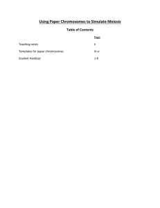 Meiosis_PaperChromosomes_Rev9Dec1