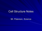 Cell Structure Notes - Center Grove Schools