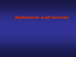 hernia - WordPress.com