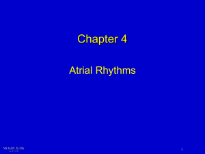Chapter 4 Atrial Mechanisms