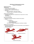 cardiac pathology notes