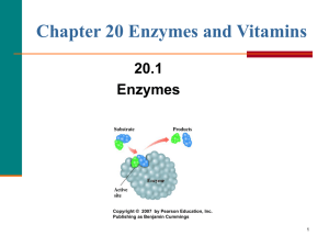 Amino Acids, Proteins, and Enzymes