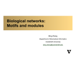 Biological networks: Motifs and modules